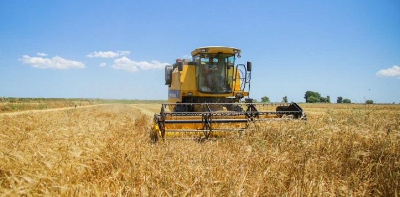 Russia, Azerbaijan Progressively Developing co-op in Agriculture – Russian ministry