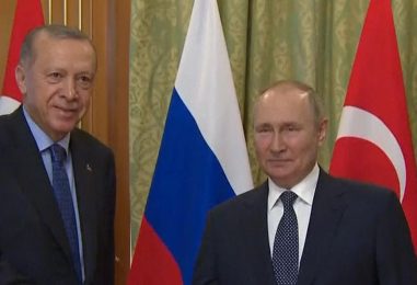 Putin And Erdogan Express Satisfaction with Russian-Turkish Relations