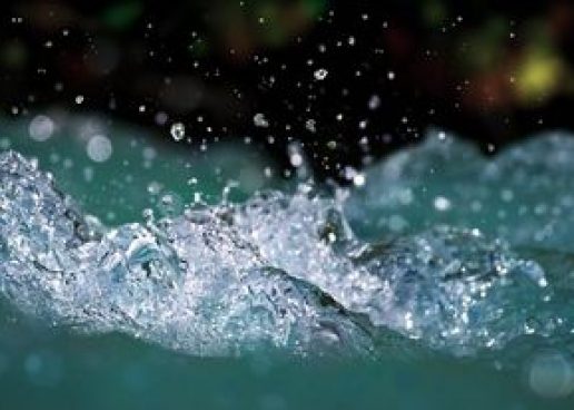 With AI and Digital Twin to a Sustainable Water Management