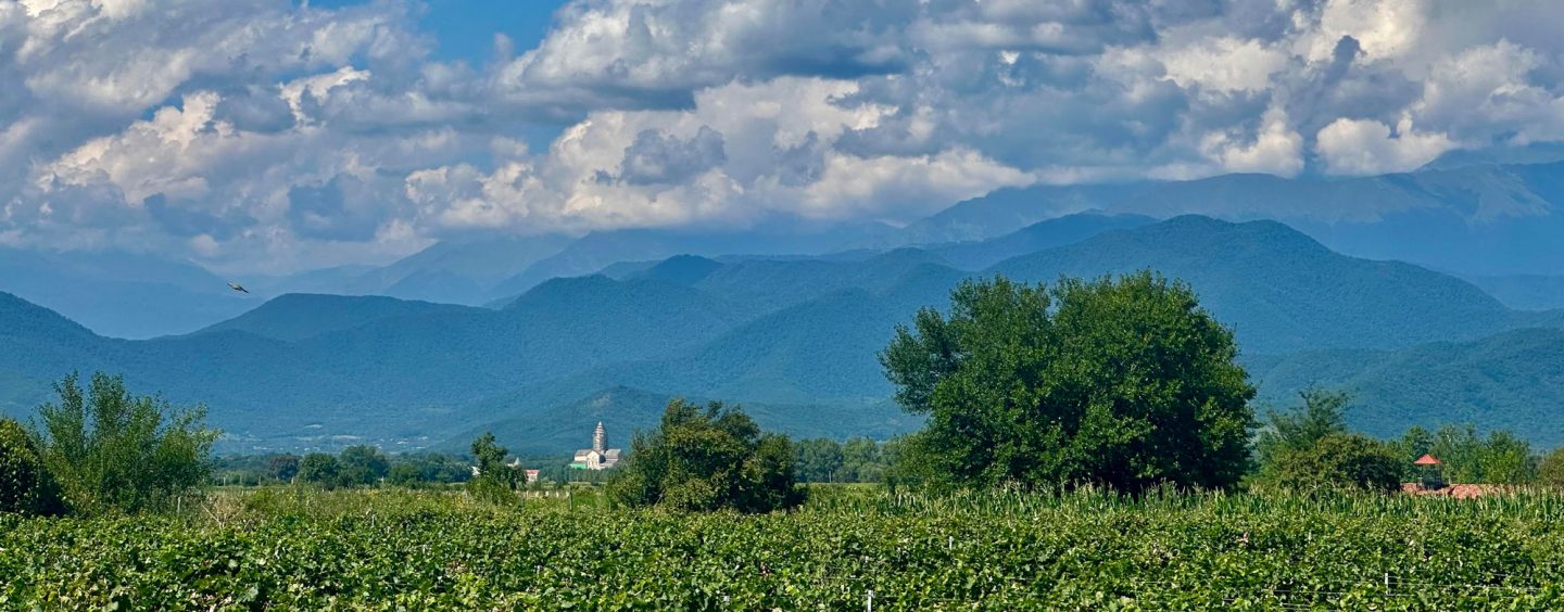 History Of The Authentic Georgian Winery Chateau Ozhio – Ozhio Estate