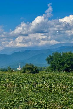 History Of The Authentic Georgian Winery Chateau Ozhio – Ozhio Estate