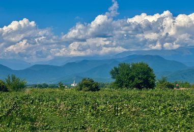 History Of The Authentic Georgian Winery Chateau Ozhio – Ozhio Estate