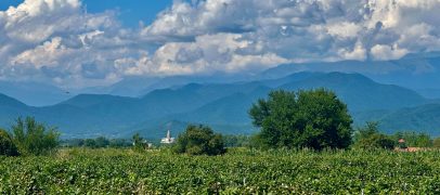 History Of The Authentic Georgian Winery Chateau Ozhio – Ozhio Estate