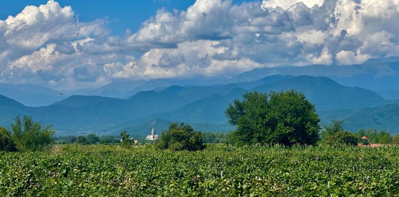 History Of The Authentic Georgian Winery Chateau Ozhio – Ozhio Estate